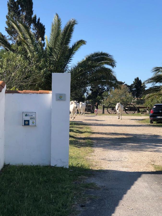 Gite Armieux Saintes-Maries-de-La-Mer Exterior foto